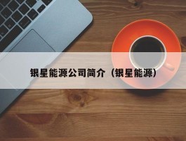 银星能源公司简介（银星能源）