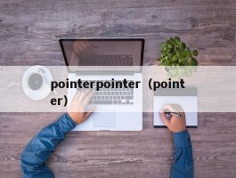 pointerpointer（pointer）