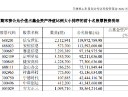 冯明远最新调整曝光：继续加仓新能源科技股称2023年处于“长期牛市起点”