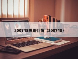 300748股票行情（300748）