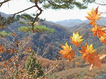 六大机构策略：权重接力稳大盘 关注通胀主线